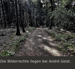 Die Bilderrechte liegen bei Andr� Geist.