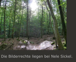 Die Bilderrechte liegen bei Nele Sickel.