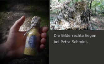 Die Bilderrechte liegen bei Petra Schmidt.